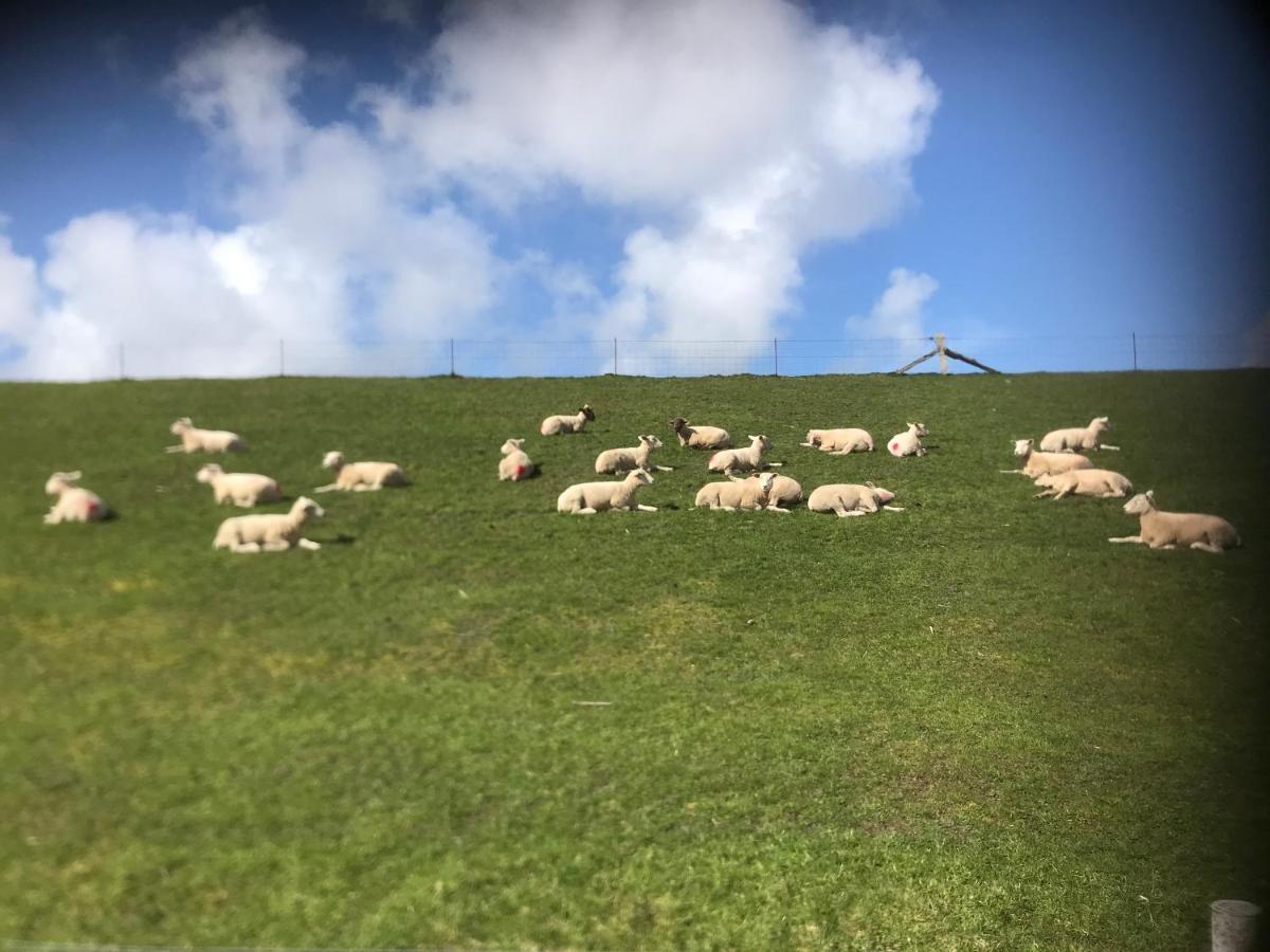 Nordlicht In Buesum-Stinteck Daire Dış mekan fotoğraf